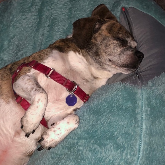 Meet your Posher, - Picture 2 of 4